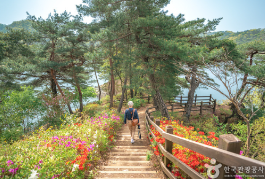  옥천 부소담악