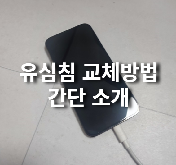 유심칩 교체 방법 (사진)