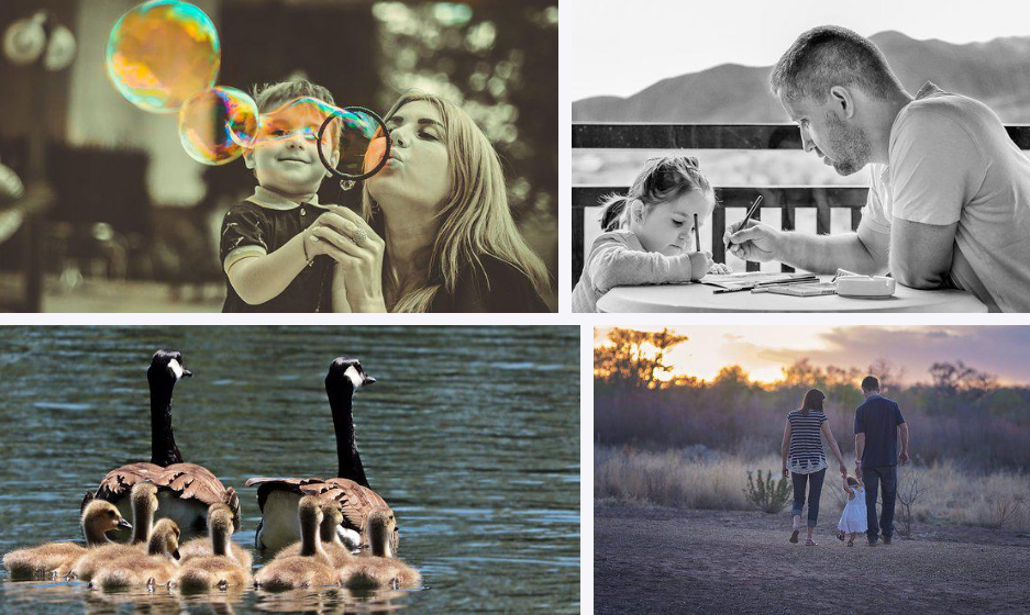 가족 명언 53가지 모음