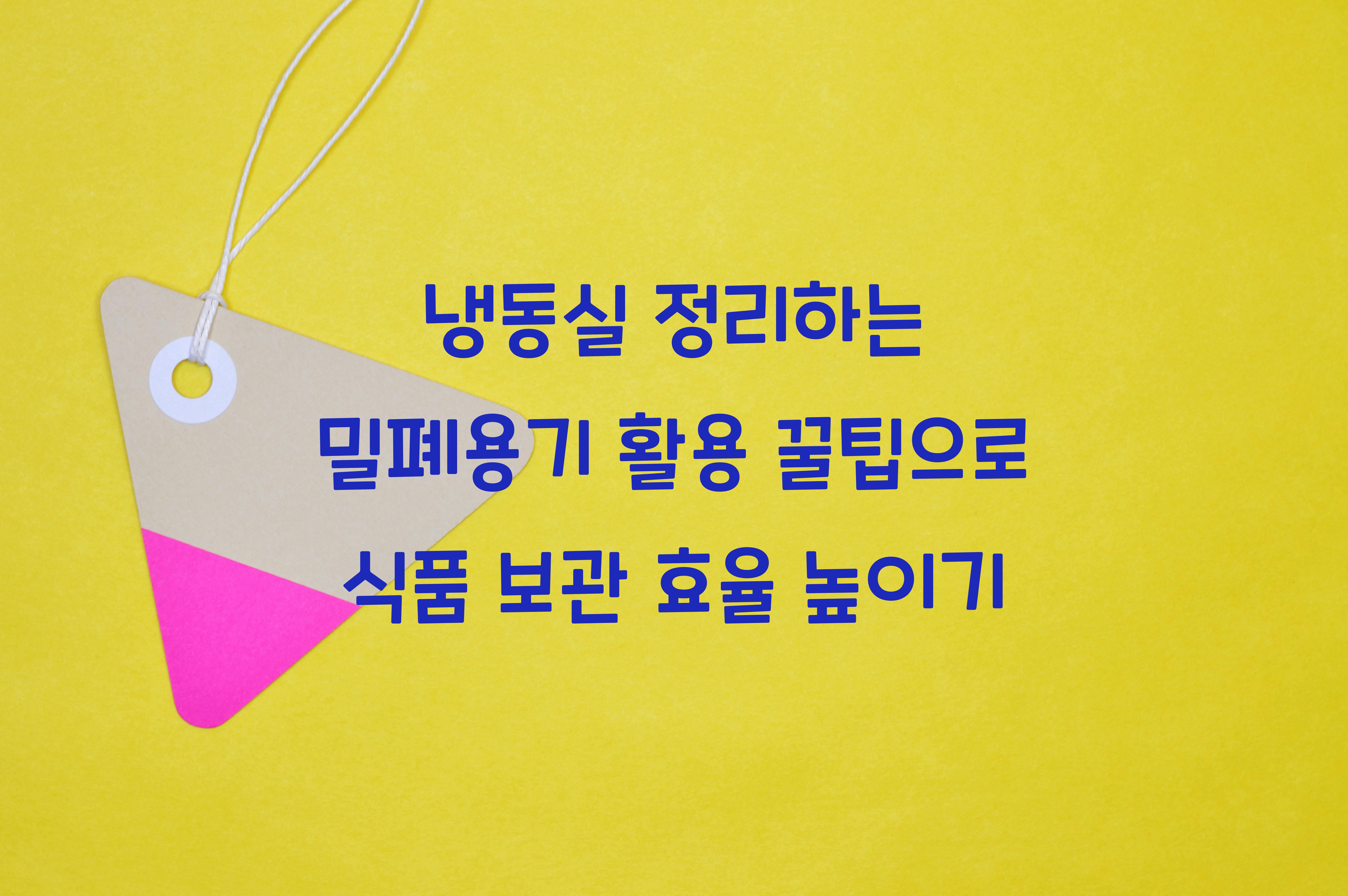 냉동실 정리하는 밀폐용기 활용 꿀팁