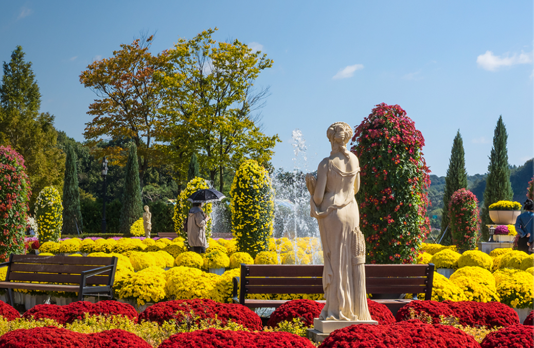 임실N치즈 축제