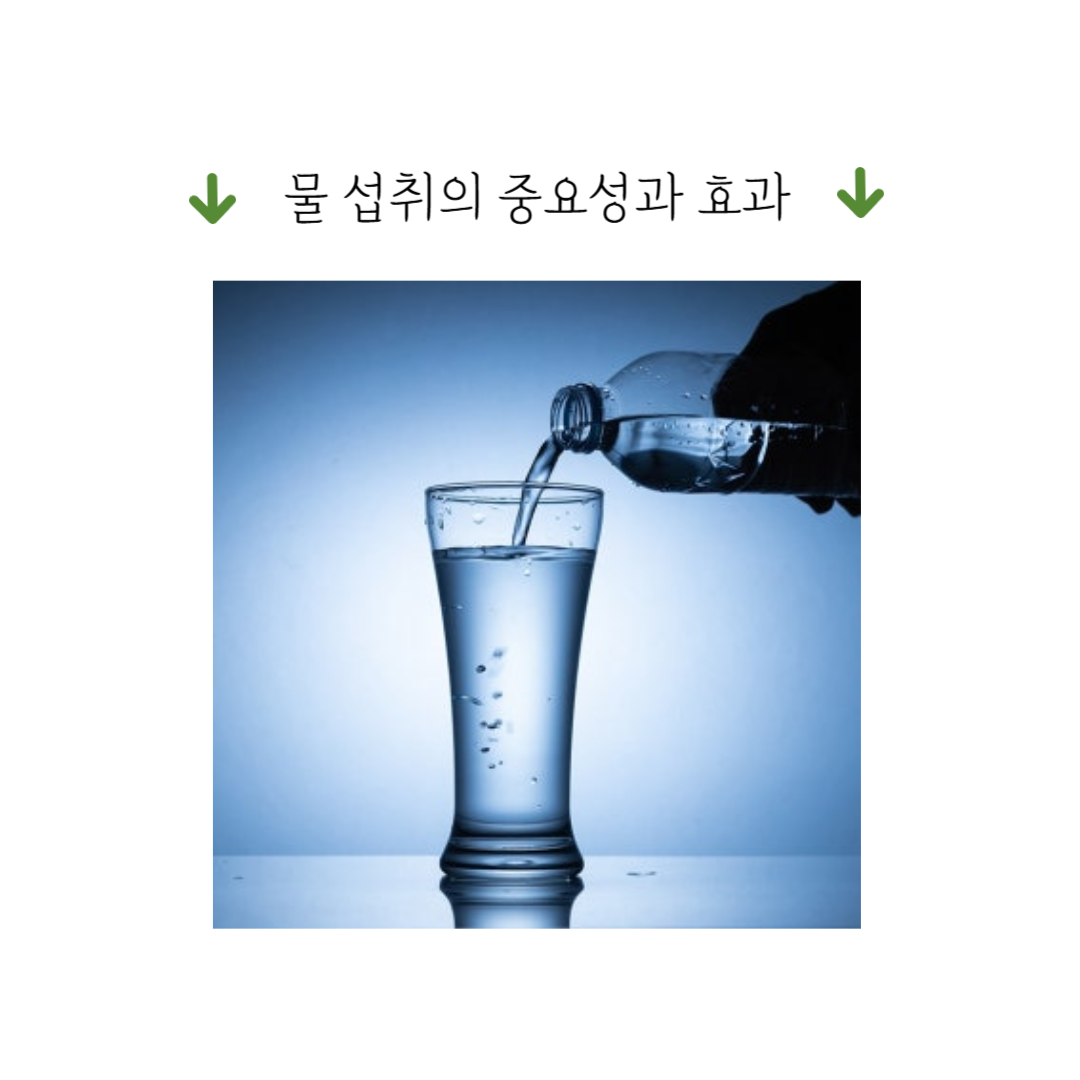 아침 공복 물 섭취로 시작하는 건강한 하루 습관 만들기