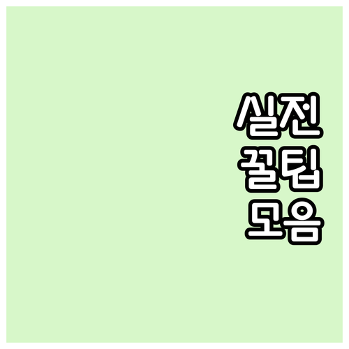 농가 필독 2025 포천시 벼 못자리..