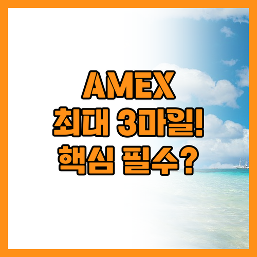 AMEX PLATINUM과 최대 3마..