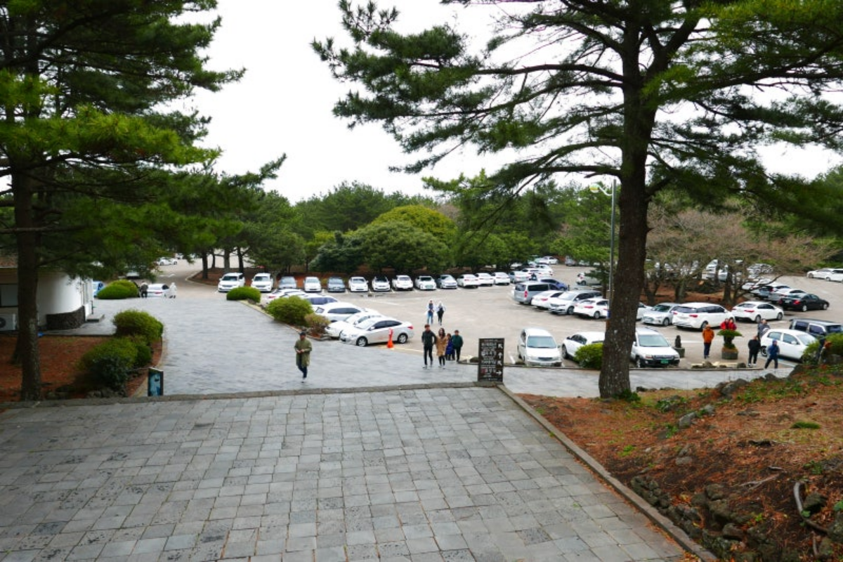 제주 만장굴 주차장 전경
