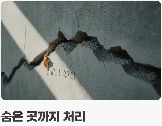 지금 당장 시작하는 효과적인 퇴치법