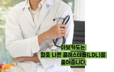 아보카도 효능