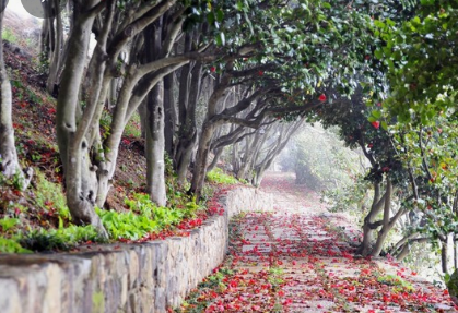 통영 가볼만한곳 BEST 10