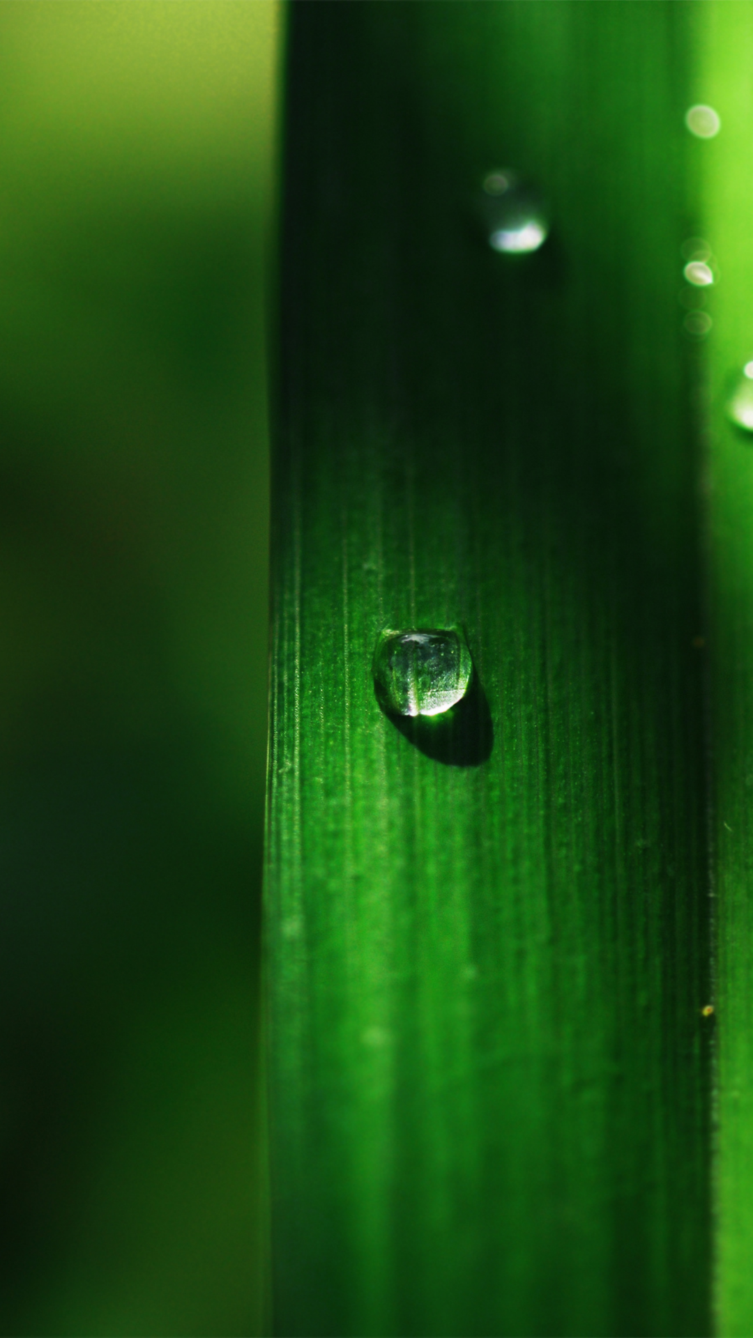 빗방울 배경화면 스마트폰 이미지 사진 그림 모음집