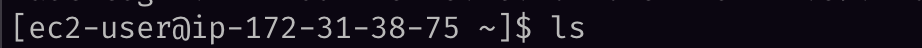 ec2 ls command