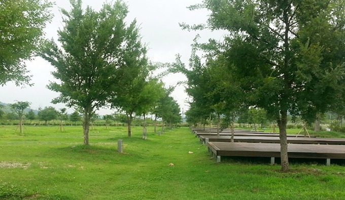 여주 이포보 캠핑장 예약