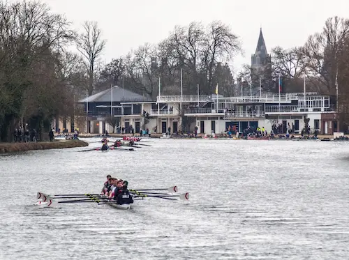 칼리지 대항 조정경기