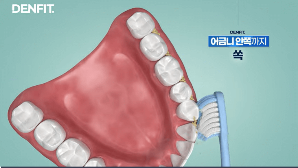 지그비 빅헤드 칫솔 vs 덴핏 딥클린: 어떤 칫솔이 내게 맞을까?