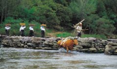 진천 가볼만한 곳