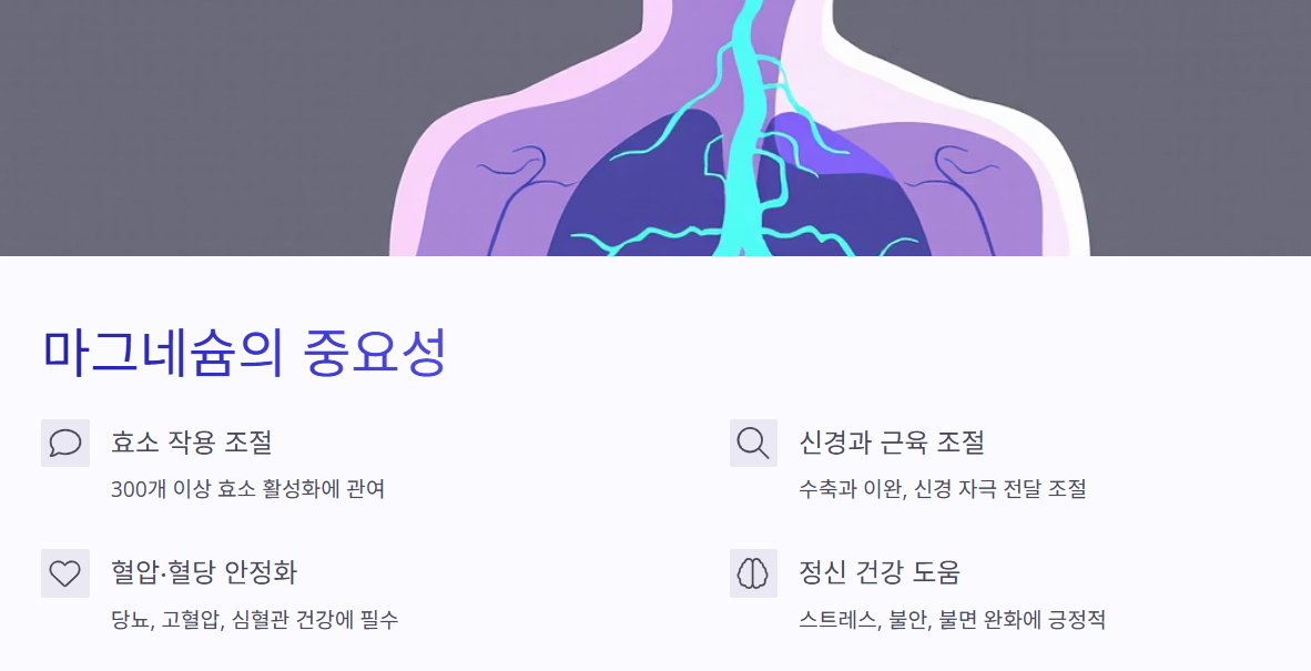 마그네슘, 왜 중요한가요?