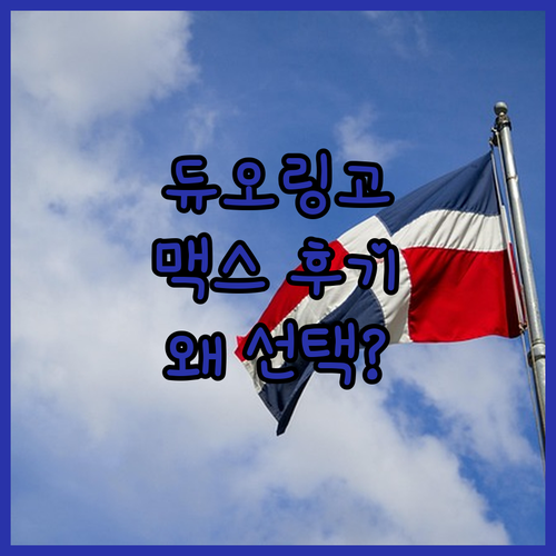 NFXBUS 듀오링고 맥스 후기! 왜