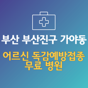 부산 부산진구 가야동 노인 독감예방접종 무료 병원 (인플루엔자 무료 접종 대상 날짜)