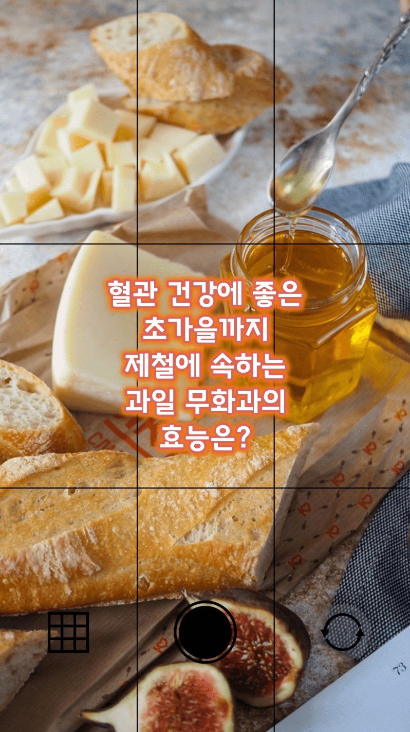 혈관 건강에 좋은 과일 무화과의 효능