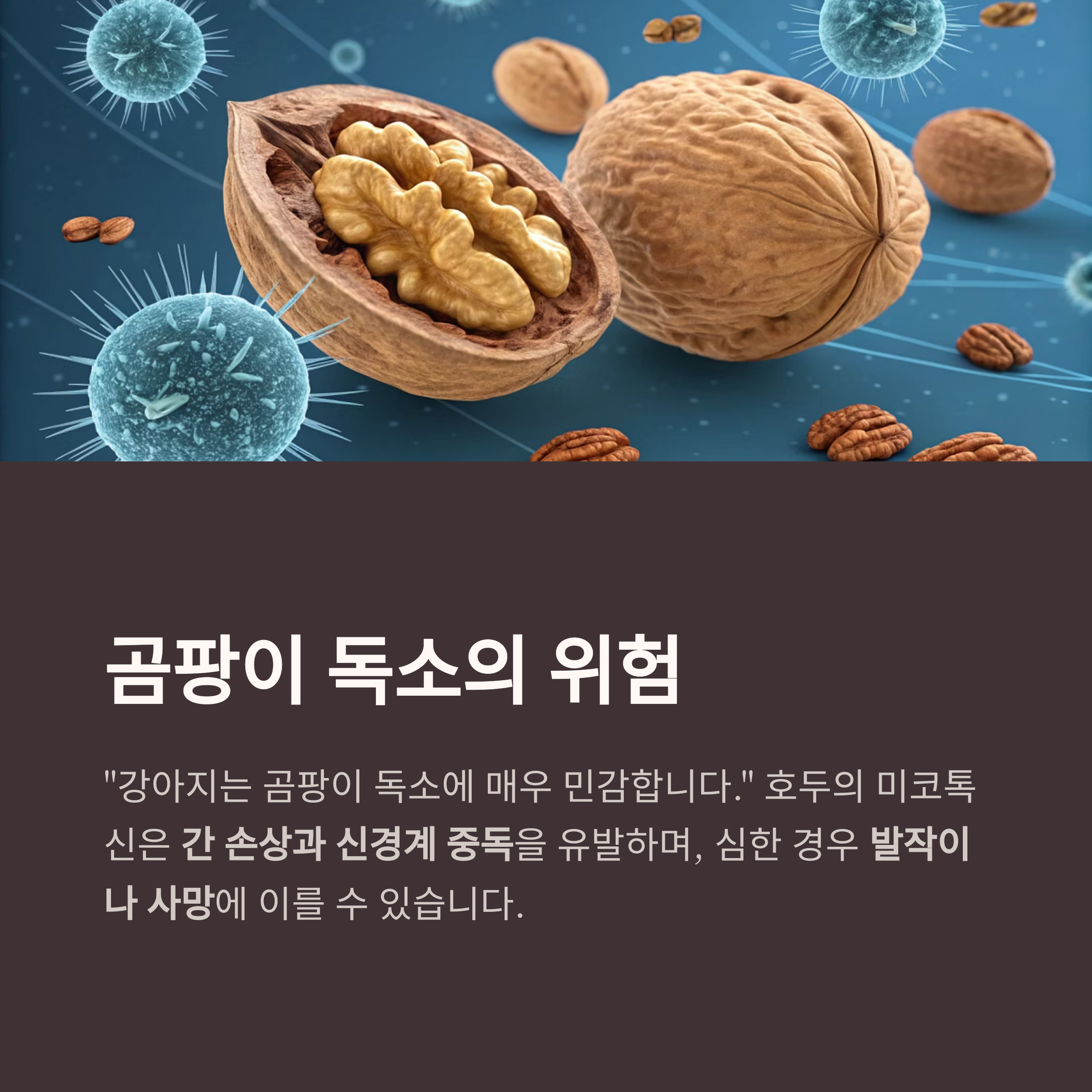 곰팡이 독소의 위험