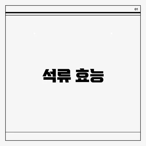 석류 효능