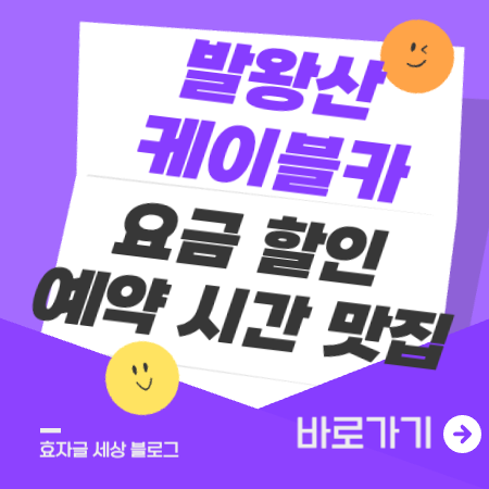 발왕산케이블카