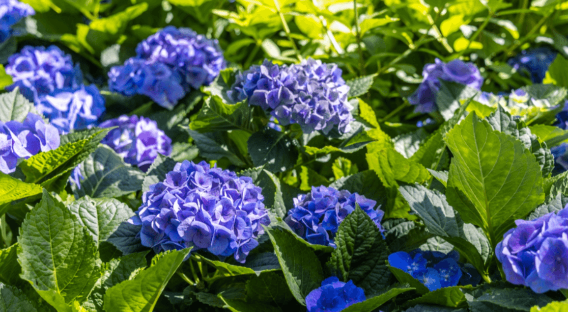 인천&amp;#44; 경기 7월&amp;#44;8월 축제 가볼만한 곳