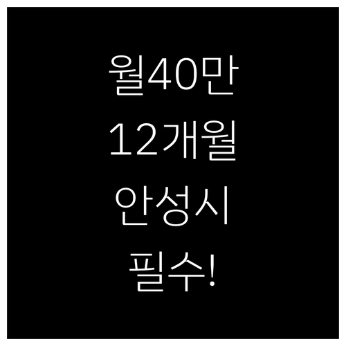 안성시 청년월세지원 2026년 월 4..