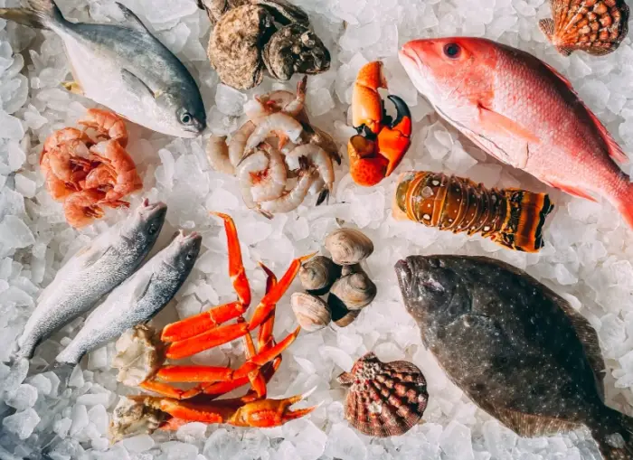 노로바이러스 전염