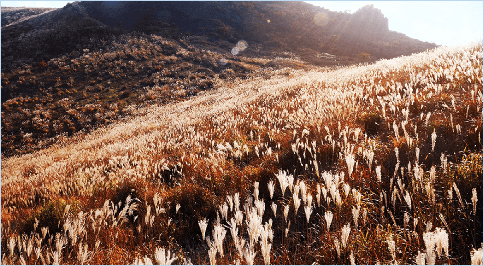 황매산-억새축제
