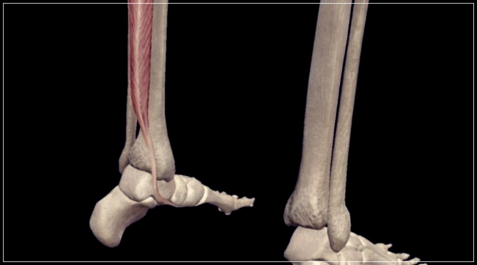 발아치 통증 치료 원인 해결 방법 총정리.
