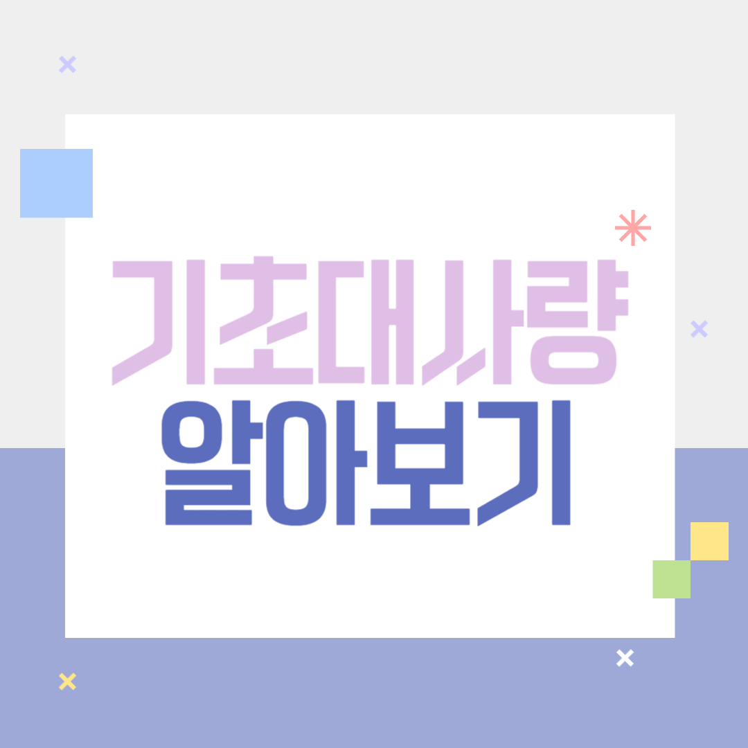 기초대사량 알아보기