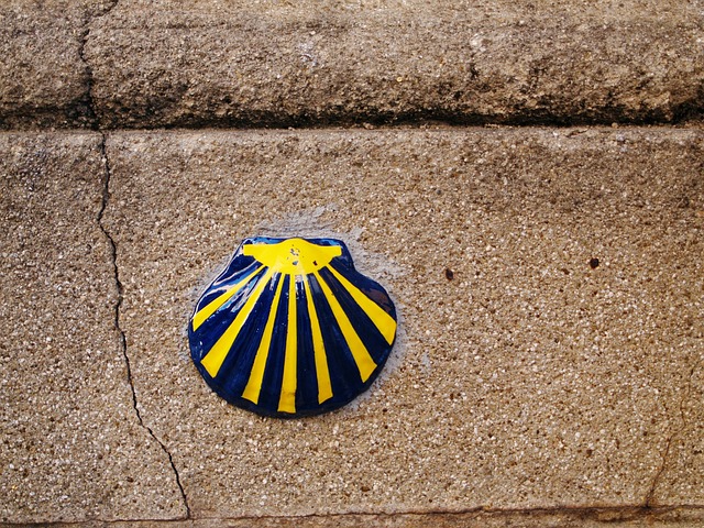 The Camino de Santiago