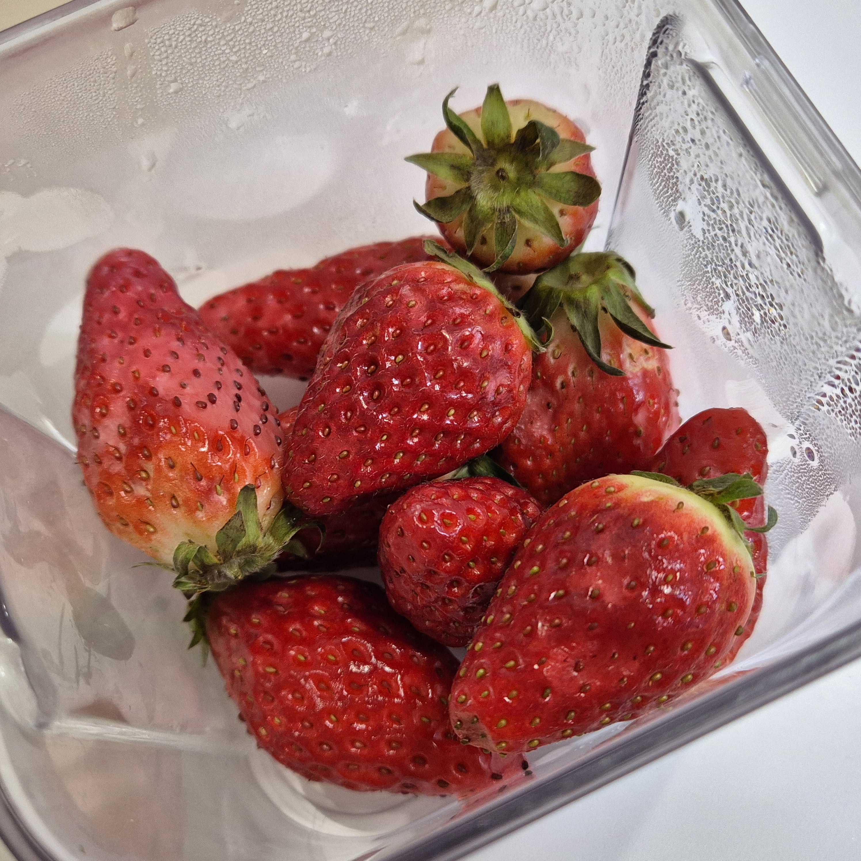 보관 후 10일이 지난 딸기 사진