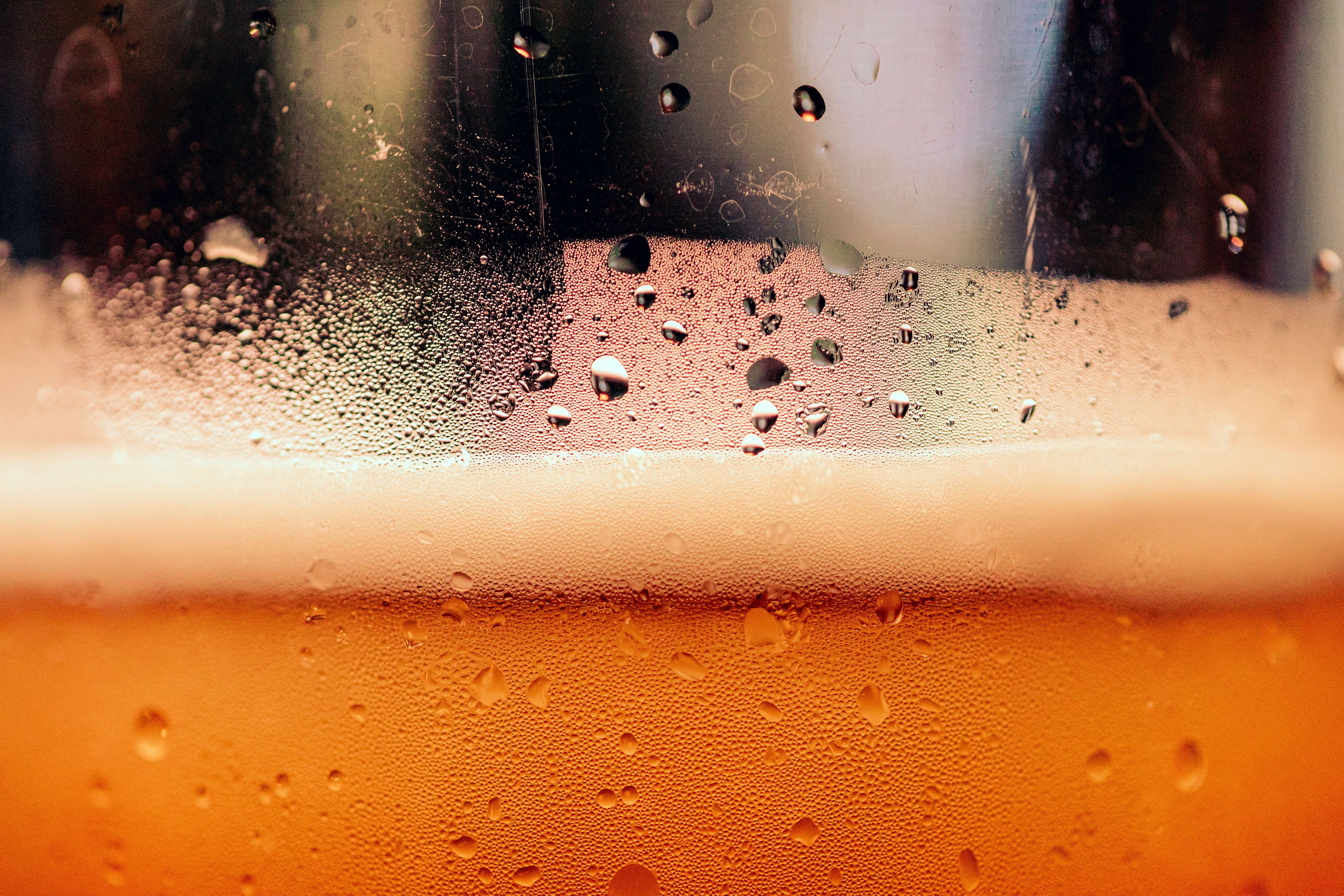 2023 부산 맥주 축제