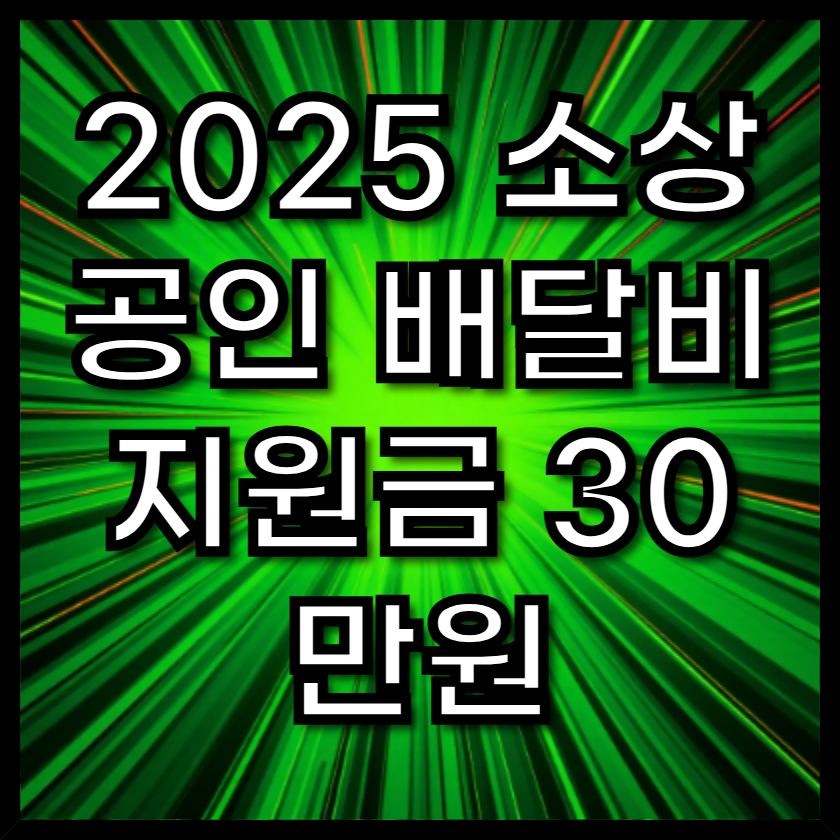2025 소상공인 배달비 지원금 30만원 신청 방법 (연매출 3억 이하, 선착순)