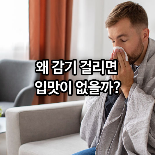 왜 감기 걸리면 입맛이 없을까