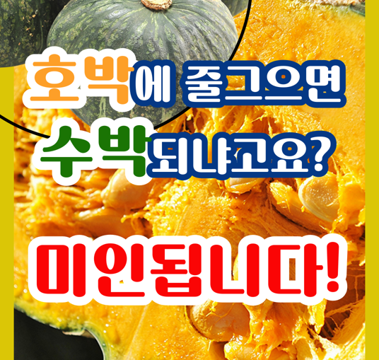 호박에 줄그으면 수박되냐고요? 미인됩니다!