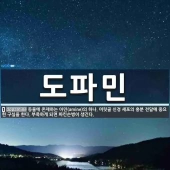 도파민 뜻, 의미, 도파민 부족, 도파민 과다, 음식_32