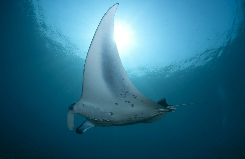 해양테마체험관