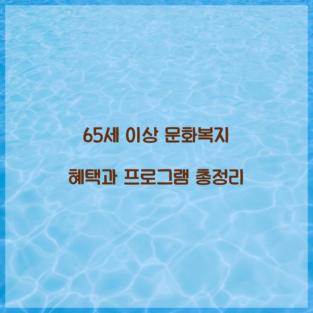 65세 이상 문화복지