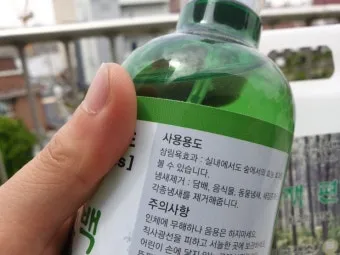 좀벌레 퇴치약 종류 원인 퇴치방법 완벽 가이드_12