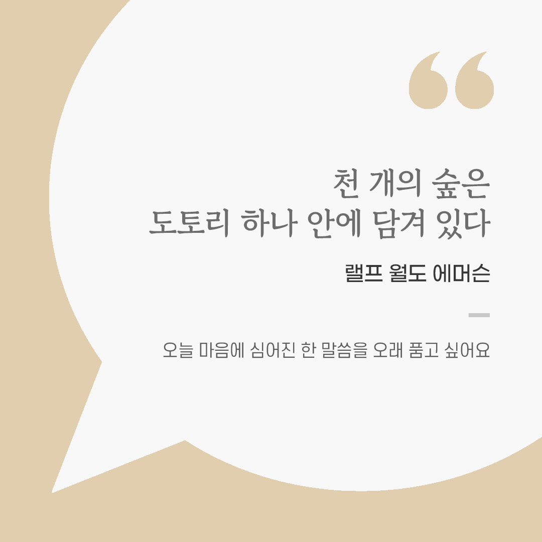 용기를 전하는 가톨릭 말씀 카드, 위로와 힘이 되는 좋은 글