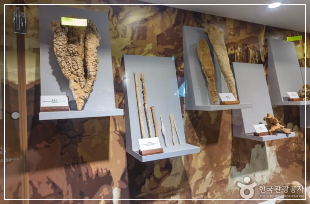 평창 가볼만한곳 베스트10 백룡동굴