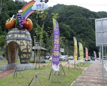 영동포도축제_4