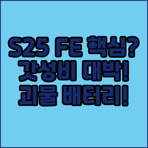 S25 FE 자급제 가성비 끝판왕 4..