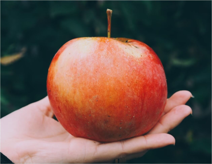 과일에 대한 꿈 해몽