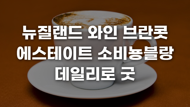 뉴질랜드 와인 브란콧 에스테이트 소비뇽블랑 데일리로 굿 사진 1