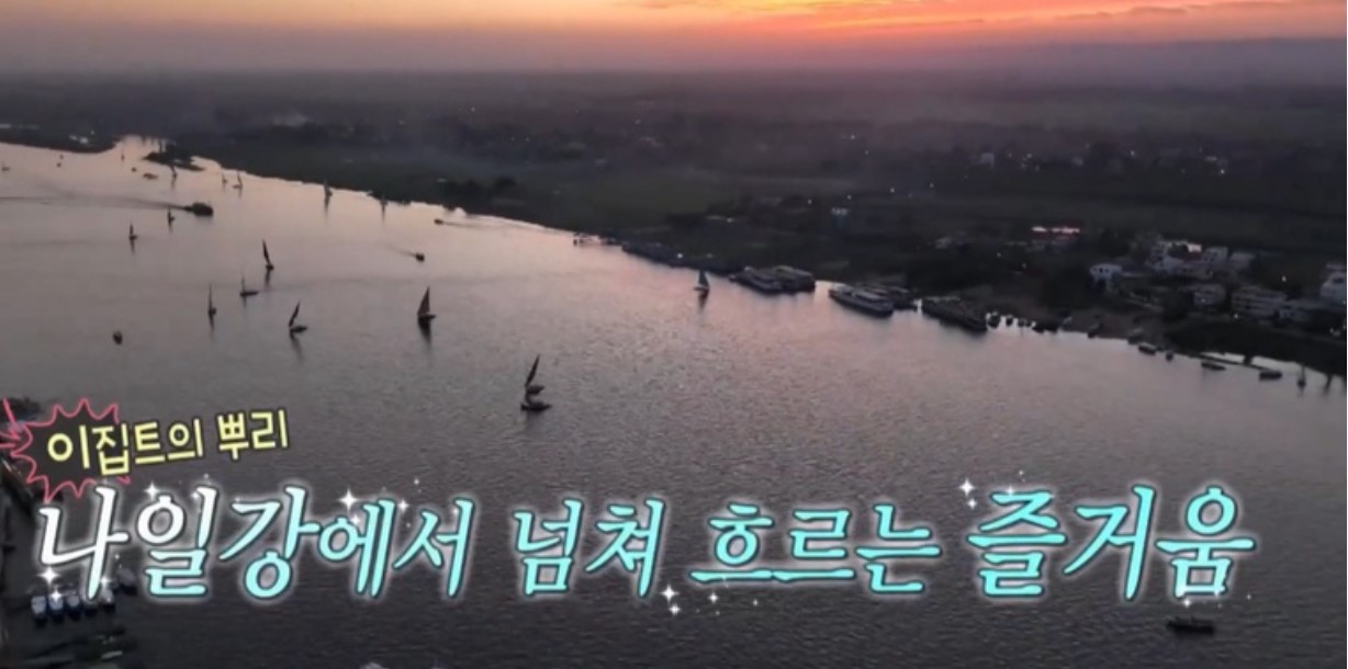 나혼산 이집트 김대호