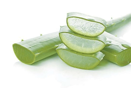 치질02