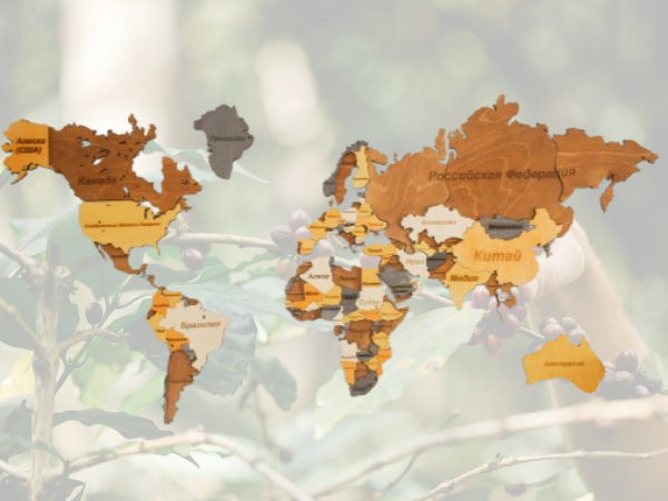 지속 가능한 커피: 기후 위기 시대 한 잔의 선택이 만드는 미래_커피나무 바탕_세계지도